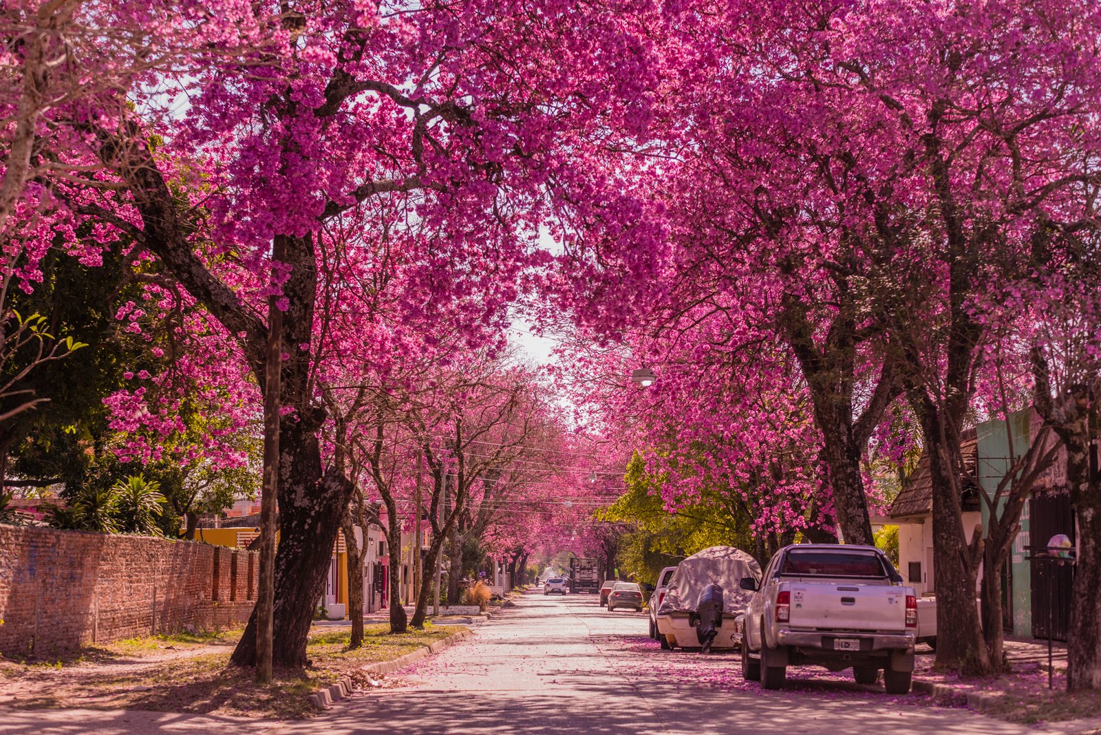 Disapositiva Conocé Esquina(22)